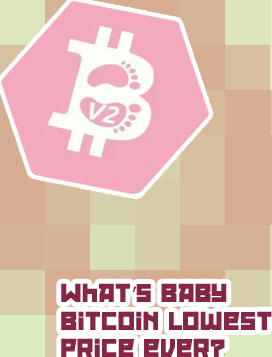 Baby bitcoin price