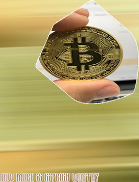 Bit coin worth