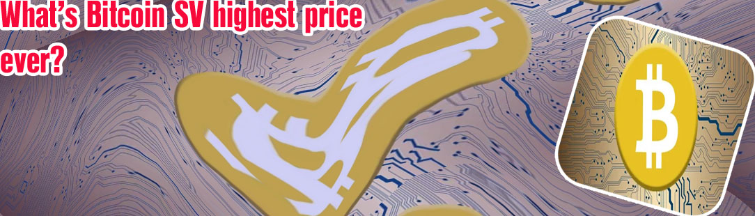 Bitcoin sv price