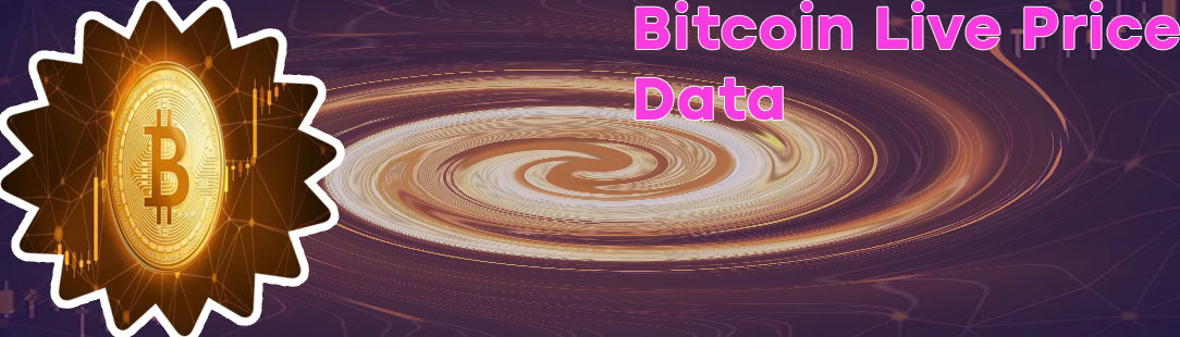 Cryptocurrency bitcoin price